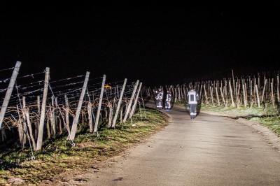 Stuttgart: Vergebliche Suche nach vermisstem Hund